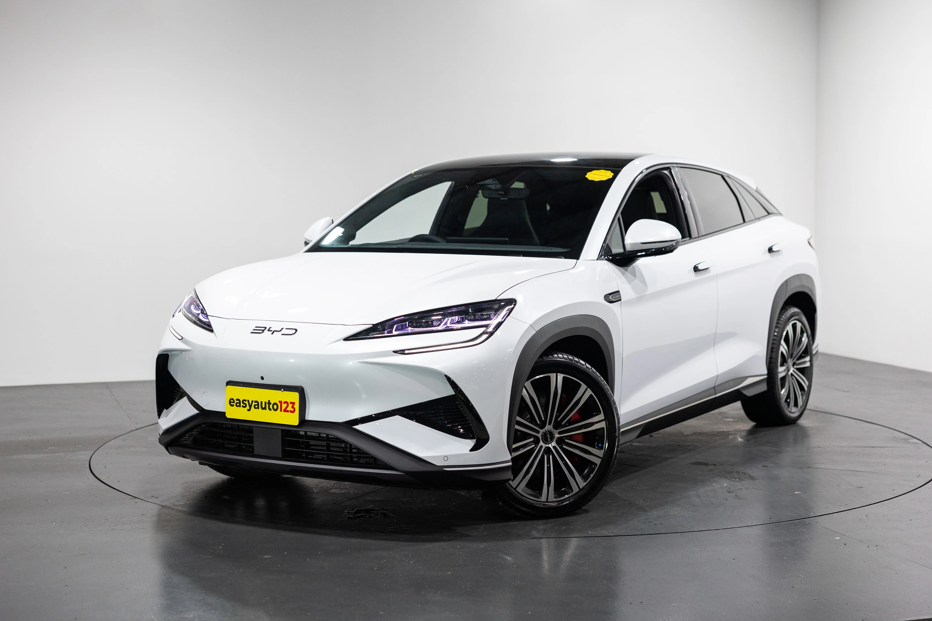 Electric Car