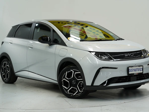 2025 Byd Dolphin Premium Electric Automatic