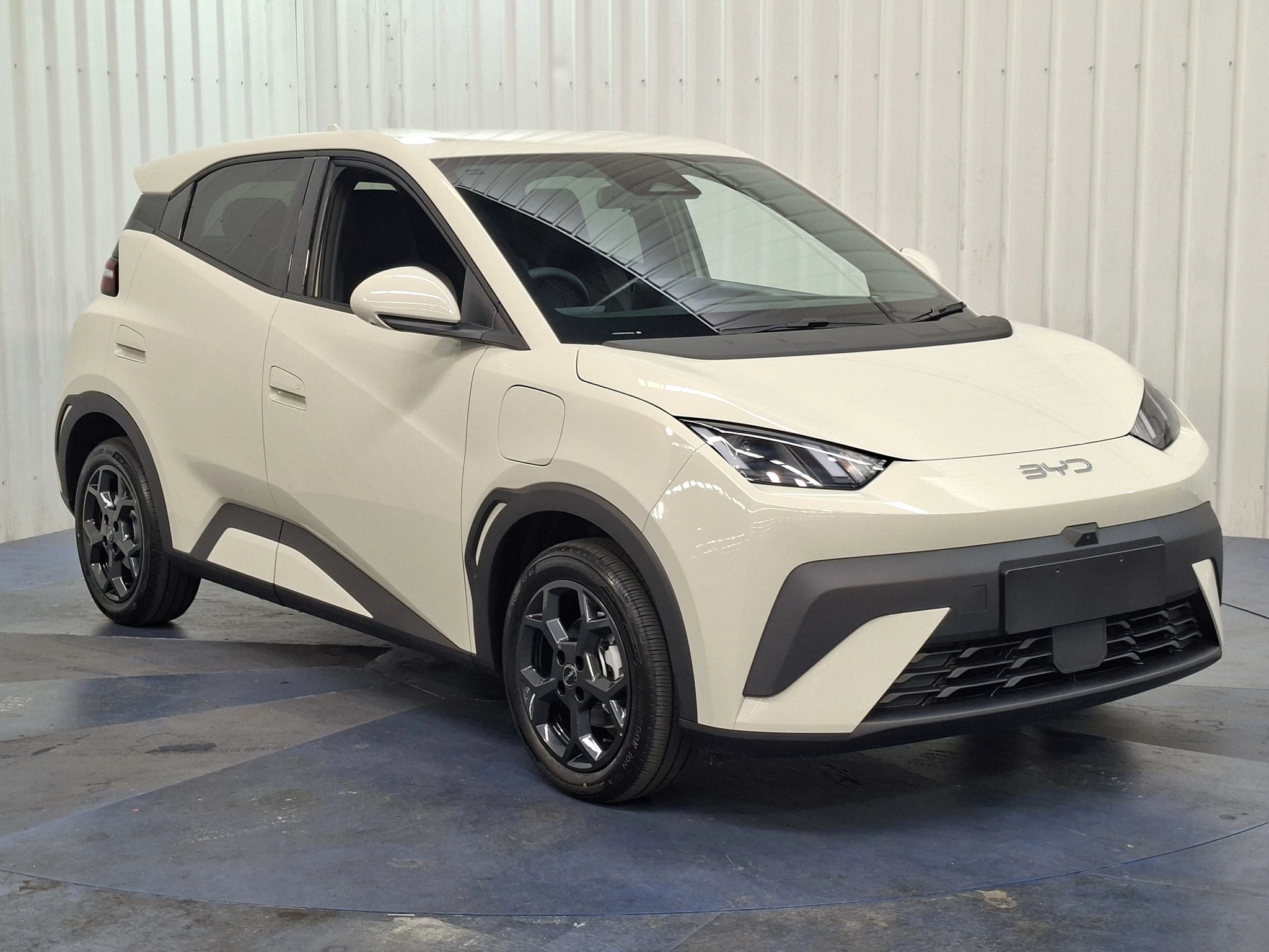 Electric Car